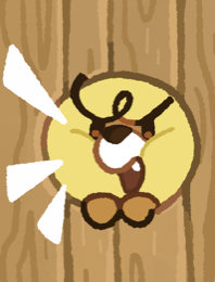 Zapup Card 1